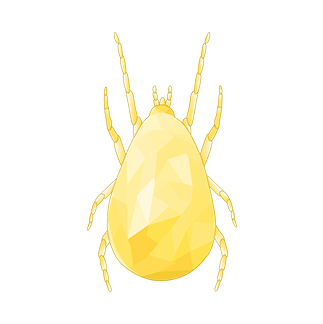 beneficial insects