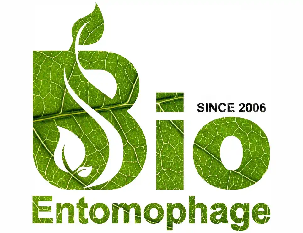 logo_homepage_b-ento